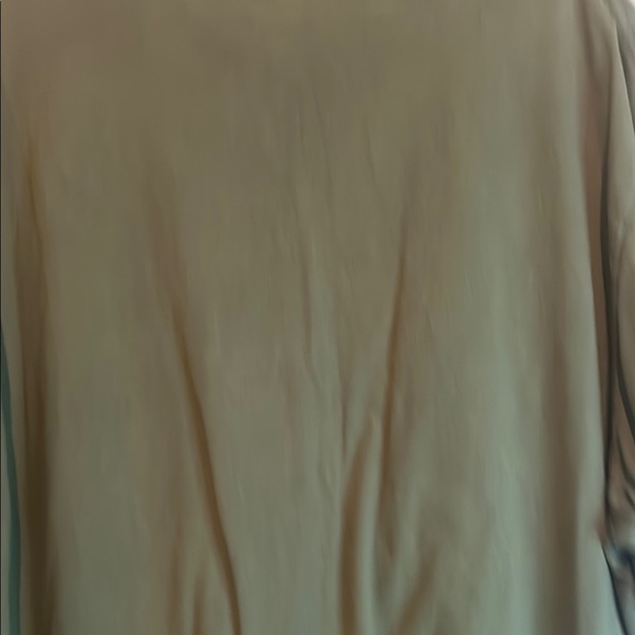 American Eagle Outfitters Green Eagle Graphic Tee - Picture 7 of 16